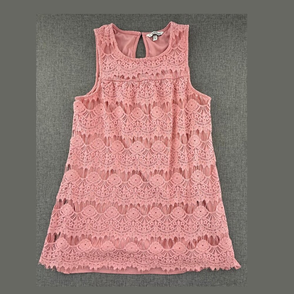 Speechless Shift Dress Lace Dusty Rose Sleeveless Lined Large Crochet Overlay